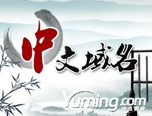 英文域名山寨官網頻出，中文域名或成為新的品牌符號