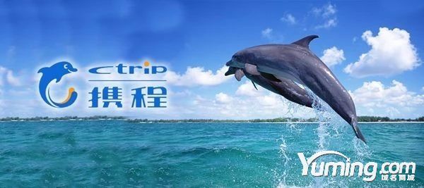 錯失良機，多花299萬買下品牌域名，如今市值超千億！
