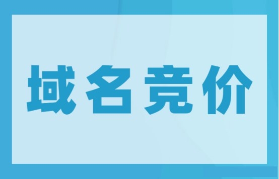 域名競價策略：如何在域名競拍中取得優勢