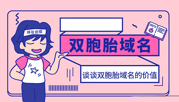 什么是雙胞胎域名?雙胞胎域名詳解
