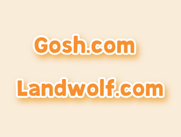 多枚大額域名交易引關注：Landwolf.com以約30萬元成交