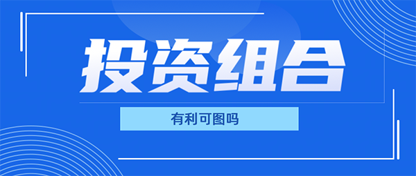 擁有大量投資組合真的有利可圖嗎？