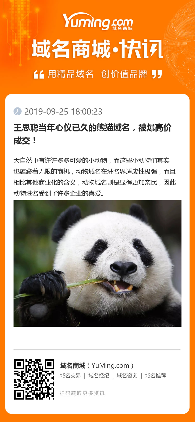 王思聰當年心儀已久的熊貓域名，被爆高價成交！